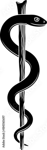 Rod of Asclepius or Aesculapius doctor medical symbol, often mislabelled as a caduceus. Features a snake curled around a staff.