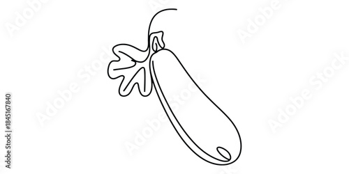 Continuous line drawing of zucchini Vector, illustration