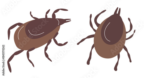 set of red and black beetle