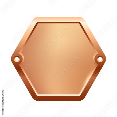 Blank bronze nameplate plaque with screw holes. Metallic hexagon label for engraving, signage, awards, door signs. Realistic vector illustration.