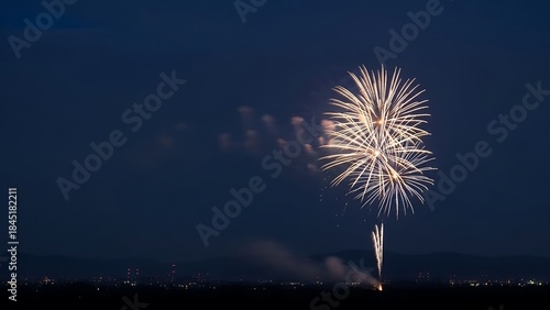 Night sky illuminated by fireworks
