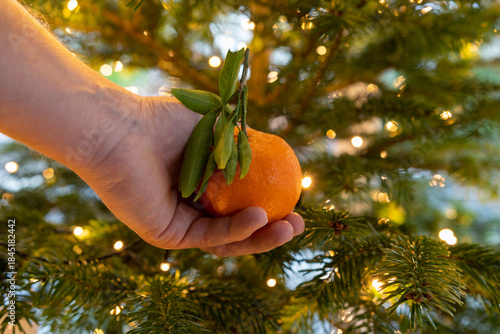 hand holding orange in front of light 