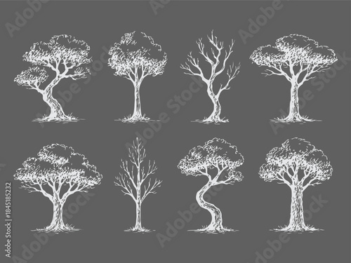 Hand Drawn Tree Silhouette Sketch Set in Vintage Ink Style
