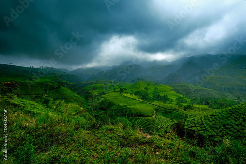 Dramatic Sky Over Green Tea Plantation Hills