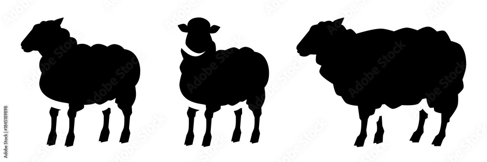 Foto Sheep Silhouette Vector Collection