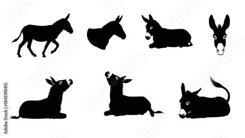 Black silhouette donkey positions for branding