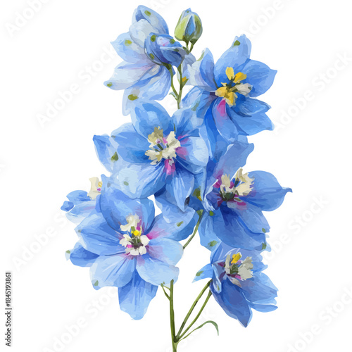 Stylized watercolor Delphinium Bouquet vector, modern artistic illustration with high-quality details on a pure white background.