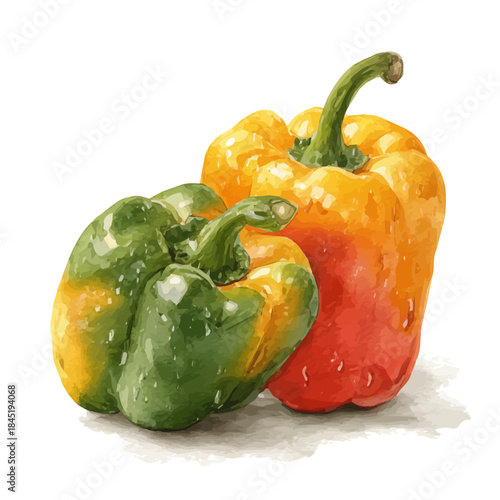 Watercolor Stuffed Bell Peppers vector, artistic painting style, high-resolution illustration on a pure white background.