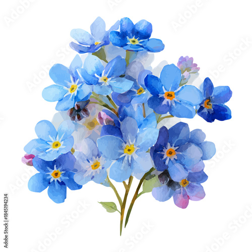 Forget-me-not Bouquet watercolor vector, hand-painted style, high-quality illustration isolated on white background.