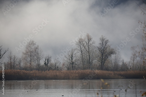 fog at the lake