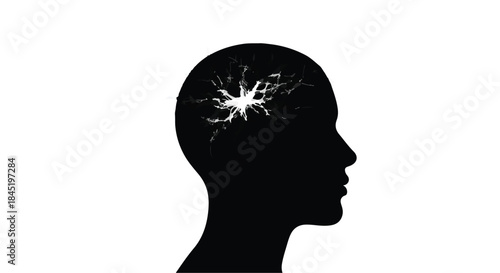 Silhouette of a human head with a bright, fractured light illuminating the mind.