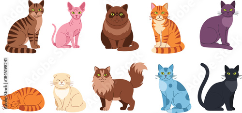 Cute cartoon cat characters collection showing different breeds colors poses sitting and sleeping isolated flat vector illustration