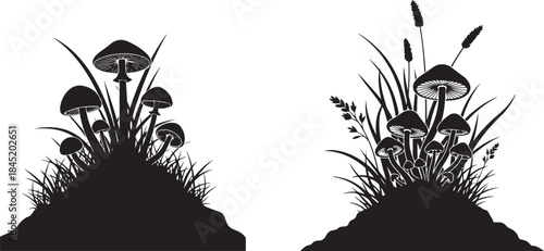 Silhouette of mushrooms and grasses, Black silhouette of grass and mushrooms growing from a mound of earth black and white nature