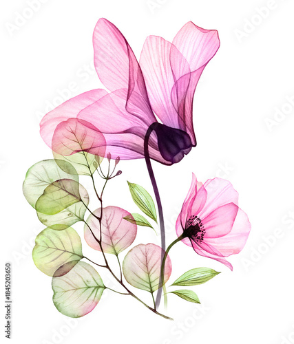 Watercolor bouquet with transparent azalea flower, rose and eucalyptus branch. Pink elegant plants isolated on white. Botanical floral illustration for wedding design, packaging, advertising
