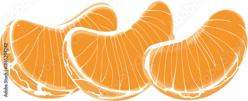 Realistic bright juicy tangerine or mandarin orange segments vector illustration on white.