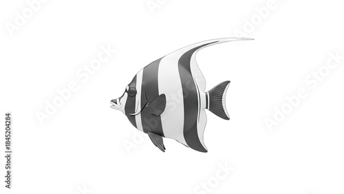 Striped Moorish Idol Fish Isolated on White