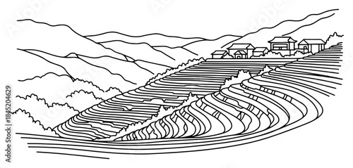 Terraced rice fields landscape with village houses on mountain slopes in vector outline