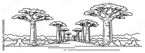 Avenue of the Baobabs in Madagascar. Continuous line drawing of African landscape. Vector illustration.
