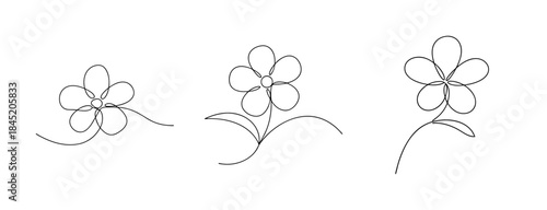 Delicate hand drawn forget me not flower sketches with fine detail