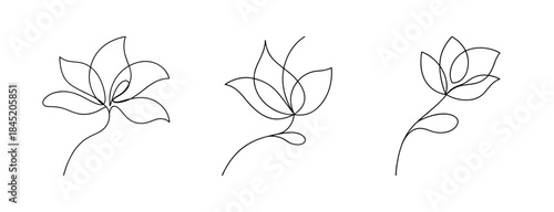 Elegant black and white line art sketches of three delicate hosta flowers