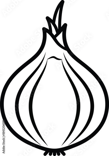 Stylized Outline Drawing of an Onion Vegetable Keywords: onion, vegetable, food, ingredient, cooking, healthy, organic, produce, bulb, root vegetable, allium, culinary, fresh, raw, illustration