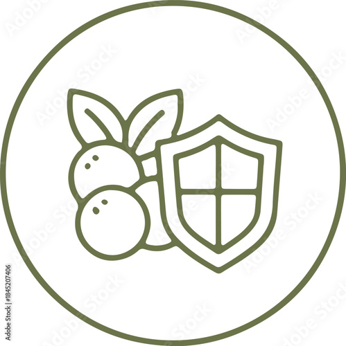 Antioxidants Icon – Free Radical Protection, Health and Wellness Symbol