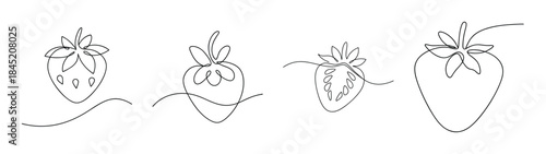 Four detailed line drawings of strawberries showing various angles and detail