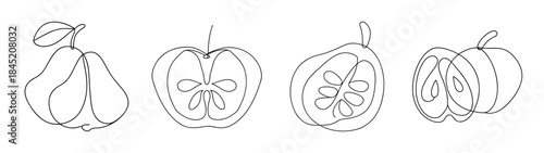 Hand drawn sketch collection of four unique sugar apples and their cross sections