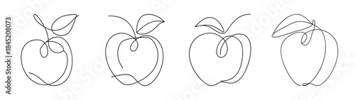 Four delicate line drawings of apples with stems and leaves