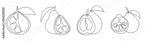 Detailed line art rendering of four ugli fruit showing texture and form