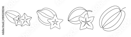 Hand drawn starfruit carambola fruit outline line art sketch healthy food illustration