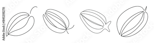 Four detailed starfruit carambola line drawings showing different angles