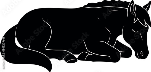 Black Silhouette of Sleeping Horse on White Background for Animal and Wildlife Concepts