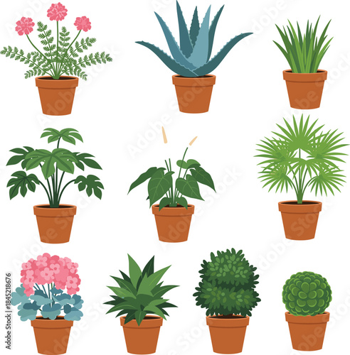 Potted houseplants illustration set featuring indoor decorative plants, flowers, foliage, and modern home gardening concepts