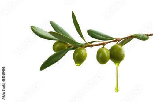Wallpaper Mural Green olives on branch with dripping oil Torontodigital.ca