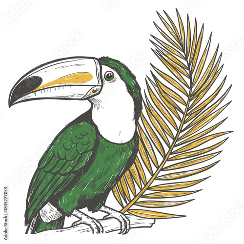 Hand drawn toucan illustration.Exotic tropical bird sketch.Vintage toucan and palm leaf.Engraved style jungle art.Summer apparel design element