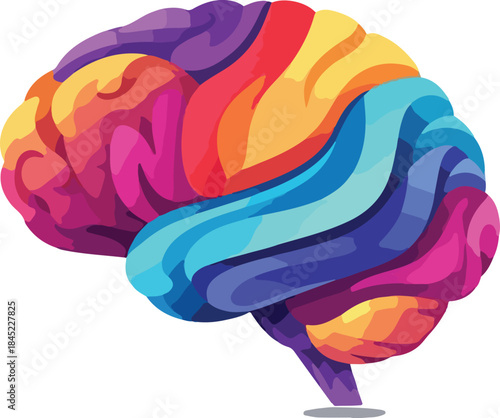 vector illustration of human brain