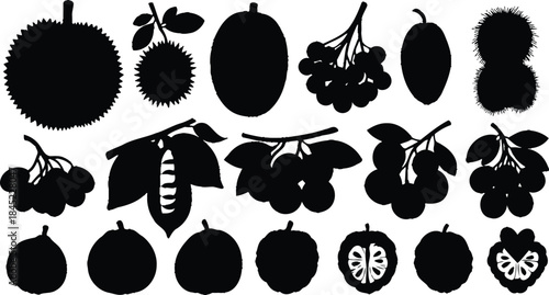 Vector file: a digital graphic format for scalable and high-quality images