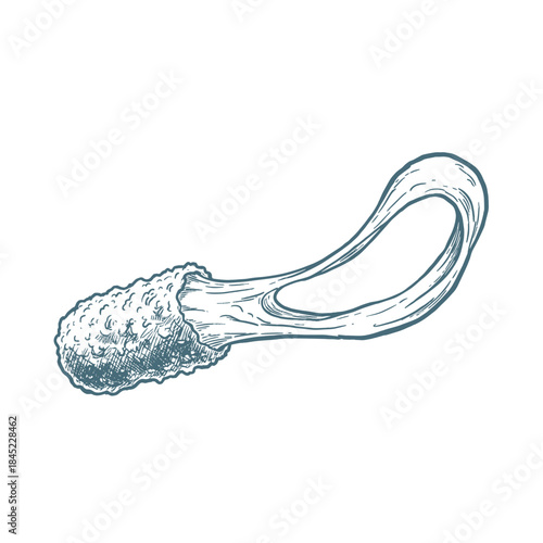 Stretchy cheese stick sketch.Hand drawn mozzarella snack.Vintage fried food illustration.Engraved fast food appetizer.Classic cheese pull drawing