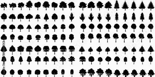 A dense arrangement of silhouetted evergreen trees in a repetitive pattern