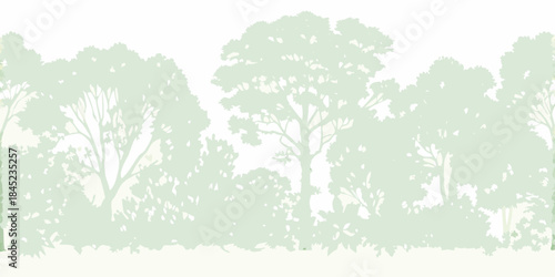 Silhouetted trees against a light background create a tranquil forest scene