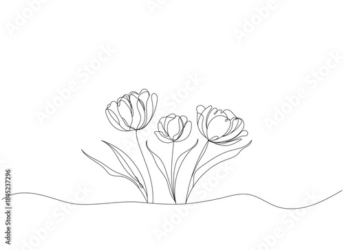 Minimalist one line tulip flowers drawing, modern botanical continuous line art for wall decor wedding invitation or floral branding logo