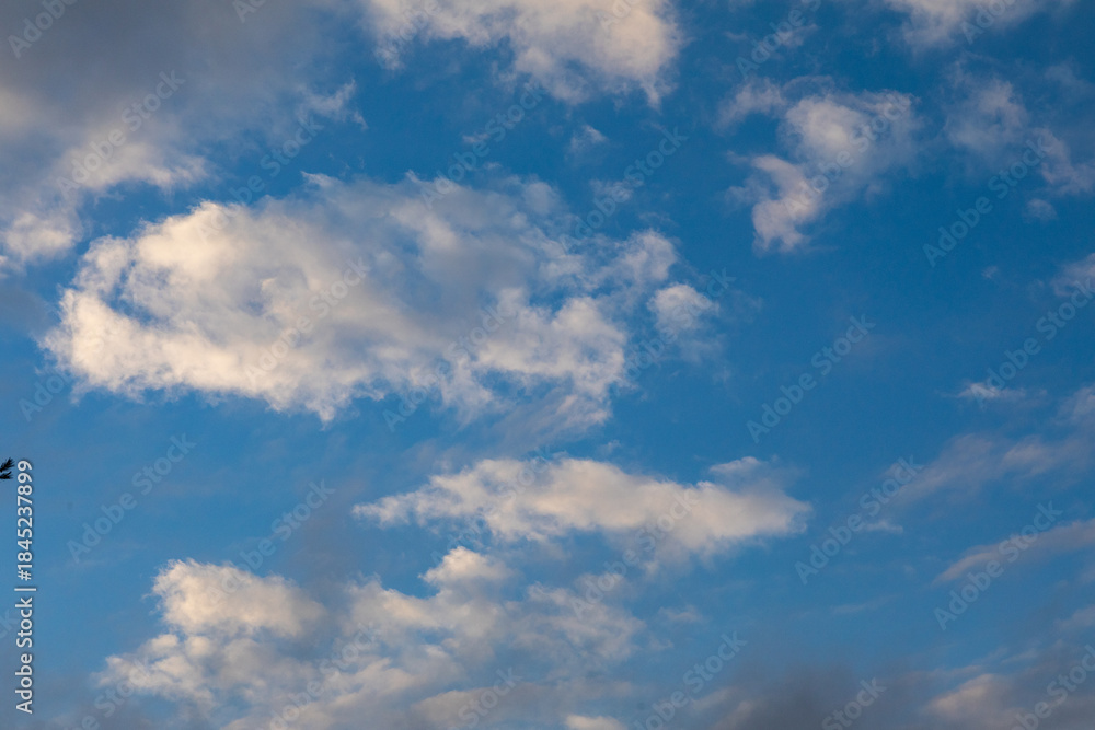 Fototapeta premium clouds in the sky