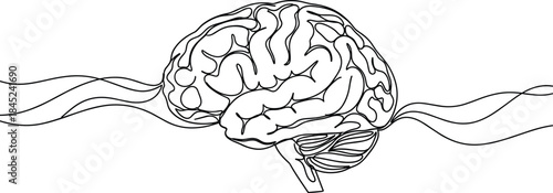 Human brain line art illustration, neuroscience anatomy concept, continuous single line drawing, minimalist medical design, black white vector