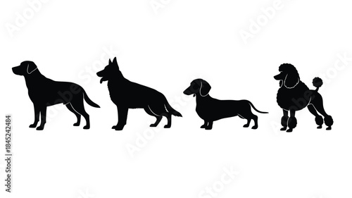 Silhouettes of four distinct dog breeds standing in a row