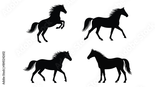 Black silhouettes of horses in various dynamic poses on a white background