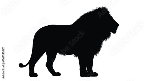 A striking silhouette of a majestic male lion in profile view