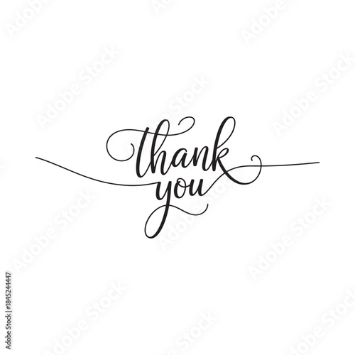 Elegant calligraphy writing of the words thank you on a white background