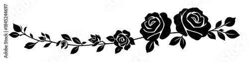 Horizontal black rose floral border with connected stems leaves and blooming flowers isolated on white background