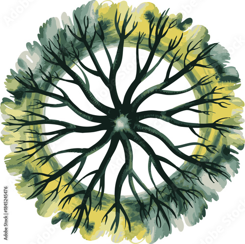 Stylized watercolor illustration of a circular organic root and branch pattern with soft green gradients on a clean white background